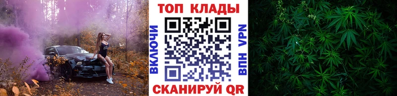 Купить наркотики Снежногорск Марихуана  omg ССЫЛКА  Гашиш  COCAIN  СК 