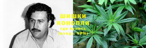 трава Армянск