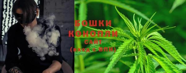 крисы Аркадак