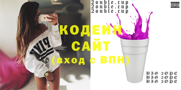 молекула духа Арсеньев
