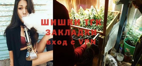 молекула духа Арсеньев