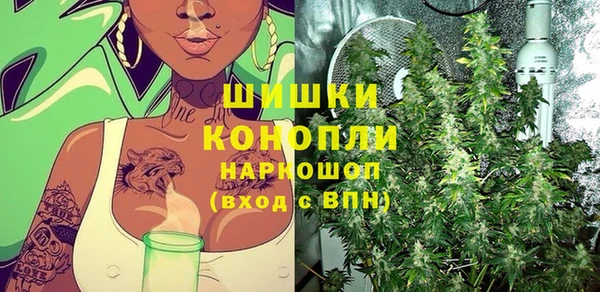 молекула духа Арсеньев