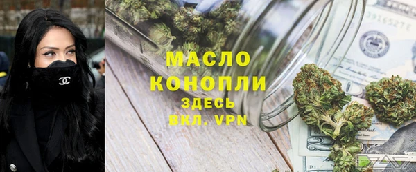 молекула духа Арсеньев