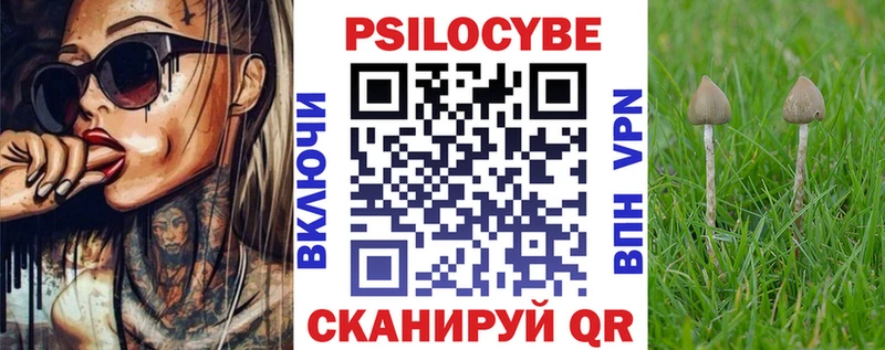 где найти наркотики  Снежногорск  KRAKEN ссылки  Галлюциногенные грибы Psilocybe 